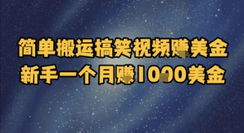 简单搬运搞笑视频挣美金，新手一个月入1k美金 - 猎人社区-猎人社区