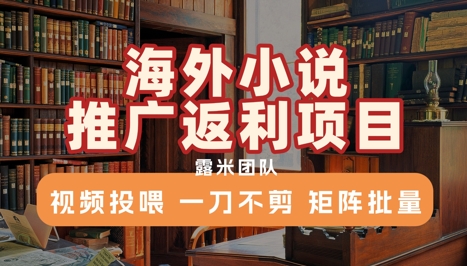 海外小说推广返利项目，视频投喂， 一刀不剪，矩阵批量 - 猎人社区-猎人社区