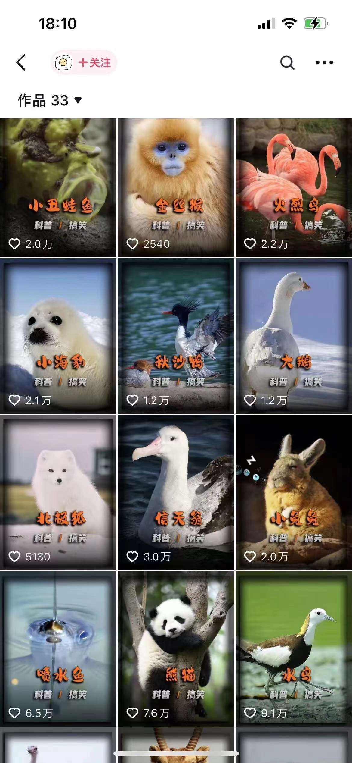 动物科普解说项目，撸创作者伙伴计划收益，保姆级实战教程-猎人社区