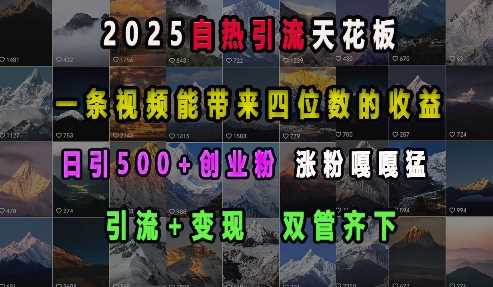 2025自热引流天花板，一条视频能带来四位数的收益，引流+变现双管齐下，日引500+创业粉，涨粉嘎嘎猛 - 猎人社区-猎人社区