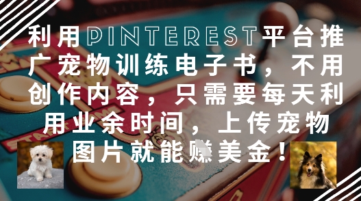 利用Pinterest平台推广宠物训练电子书，不用创作内容，只需要每天利用业余时间，上传宠物图片就能挣美金!-猎人社区