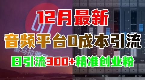 12月最新：音频平台0成本引流，日引流300+精准创业粉 - 猎人社区-猎人社区