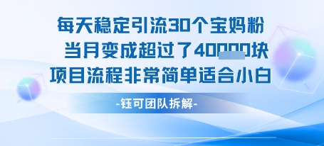 每天稳定引流30个人 当月变成超过了4个W项目流程非常简单适合小白 - 猎人社区-猎人社区