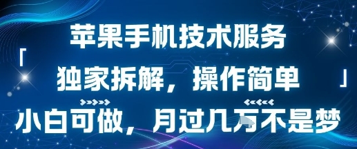苹果手机技术服务，独家拆解，操作简单，小白可做，月过1W不是梦 - 猎人社区-猎人社区
