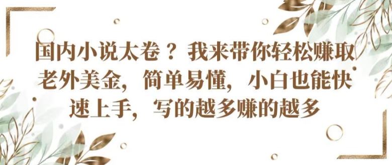 国内小说太卷 ?带你轻松赚取老外美金，简单易懂，小白也能快速上手，写的越多赚的越多【揭秘】-猎人社区