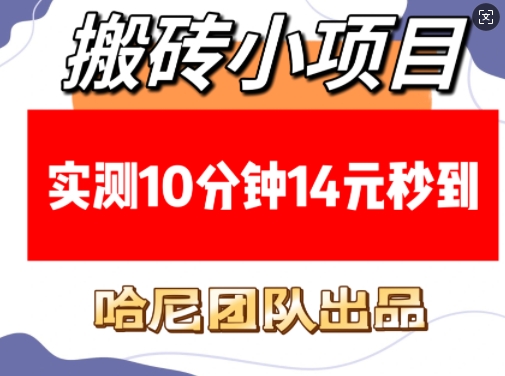 搬砖小项目，实测10分钟14元秒到，每天稳定几张(赠送必看稳定) - 猎人社区-猎人社区
