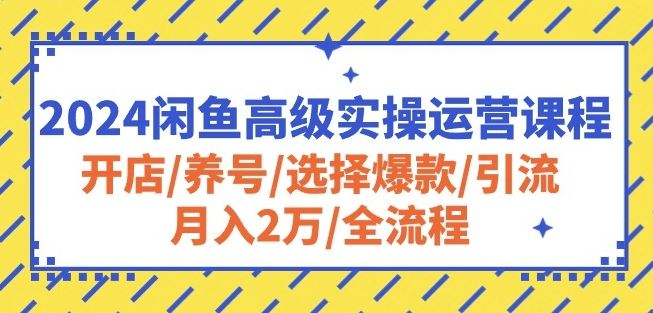 2024闲鱼高级实操运营课程：开店/养号/选择爆款/引流/月入2万/全流程 - 猎人社区-猎人社区