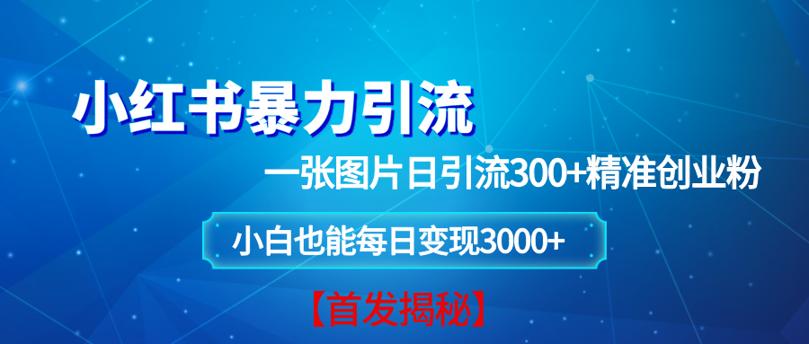 小红书暴力引流法，一张图片日引 300+精准创业粉，每日稳定变现 3000+【揭秘】 - 猎人社区-猎人社区