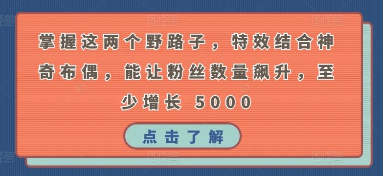 掌握这两个野路子，特效结合神奇布偶，能让粉丝数量飙升，至少增长 5000【揭秘】 - 猎人社区-猎人社区