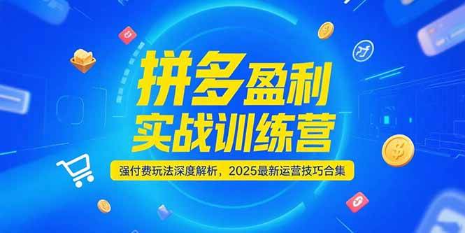 拼多多盈利实战训练营，强付费玩法深度解析，2025最新运营技巧合集 - 猎人社区-猎人社区