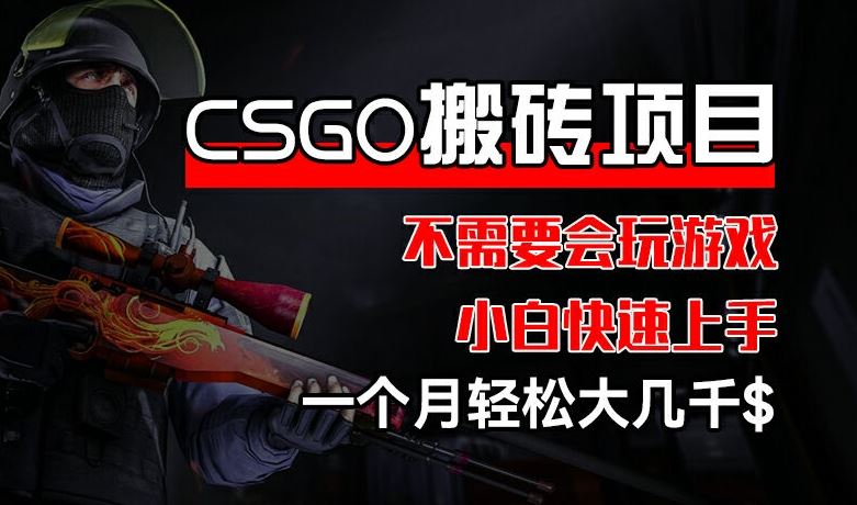 CSGO 装备搬砖项目，操作简单，不需要会玩游戏，小白也能快速上手，一个月轻松大几千【揭秘】 - 猎人社区-猎人社区