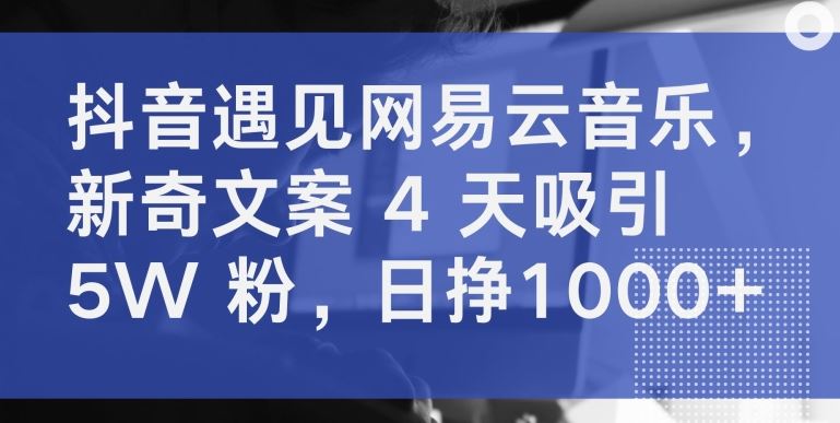 抖音遇见网易云音乐，新奇文案 4 天吸引 5W 粉，日挣1000+【揭秘】 - 猎人社区-猎人社区