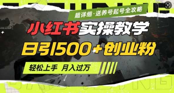 2月小红书最新日引500+创业粉实操教学【超详细】小白轻松上手，月入1W+，附小红书养号起号SOP - 猎人社区-猎人社区
