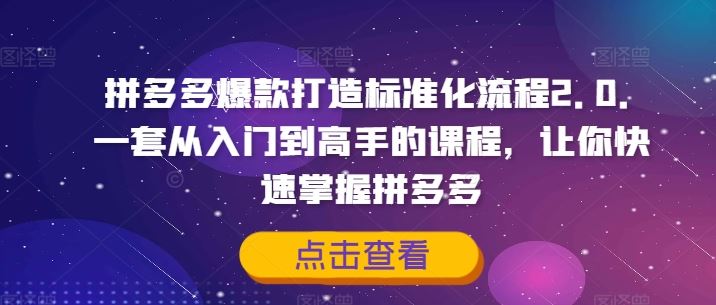 拼多多爆款打造标准化流程2.0，一套从入门到高手的课程，让你快速掌握拼多多 - 猎人社区-猎人社区