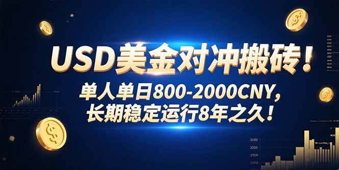 USD美金对冲搬砖!单人单日800-2000CNY，长期稳定运行8年之久! - 猎人社区-猎人社区