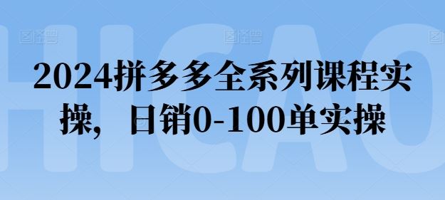 2024拼多多全系列课程实操，日销0-100单实操【必看】-猎人社区