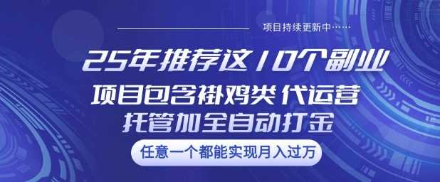 25年推荐这10个副业项目包含褂鸡类、代运营托管类、全自动打金类【揭秘】 - 猎人社区-猎人社区