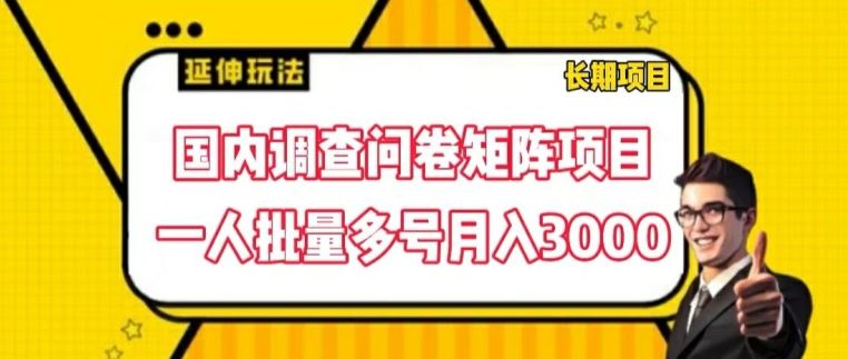 国内调查问卷矩阵项目，一人批量多号月入3000【揭秘】 - 猎人社区-猎人社区