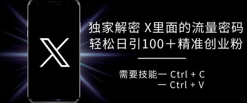 独家解密 X 里面的流量密码，复制粘贴轻松日引100+ - 猎人社区-猎人社区