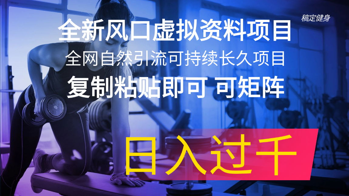 全新风口虚拟资料项目 全网自然引流可持续长久项目 复制粘贴即可可矩阵… - 猎人社区-猎人社区