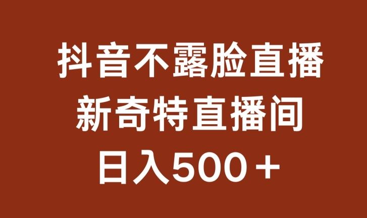 不露脸挂机直播，新奇特直播间，日入500+【揭秘】-猎人社区
