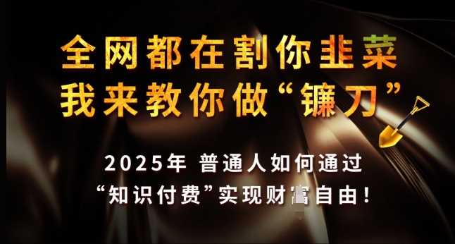 全网都在割你韭菜，我来教你做镰刀，2025年普通人如何通过 知识付费 实现财F自由【揭秘】-猎人社区