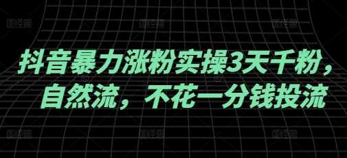 抖音暴力涨粉实操3天千粉，自然流，不花一分钱投流，实操经验分享 - 猎人社区-猎人社区