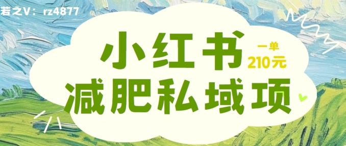 小红书减肥粉，私域变现项目，一单就达210元，小白也能轻松上手【揭秘】 - 猎人社区-猎人社区