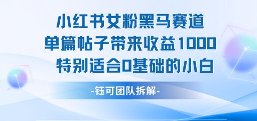 小红书女粉黑马赛道单篇帖子带来收益1k+，特别适合0基础的小白-猎人社区