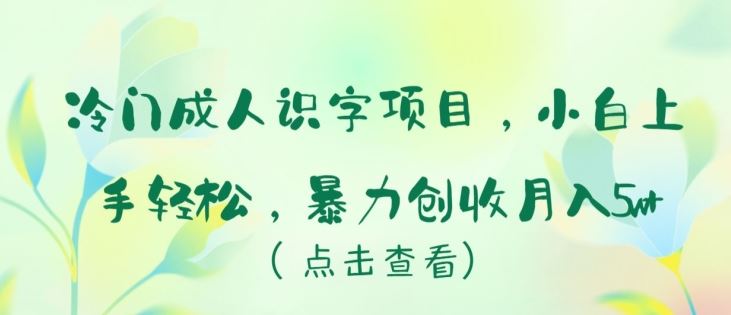 冷门成人识字项目，小白上手轻松，暴力创收月入5w+【揭秘】-猎人社区