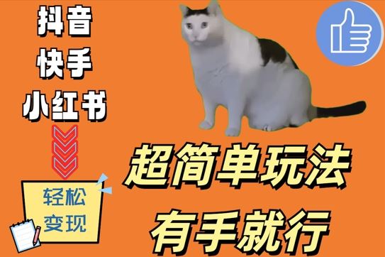 超简单玩法，有手就行，靠猫咪视频日入500+【揭秘】 - 猎人社区-猎人社区
