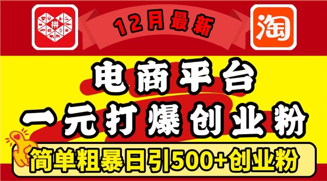 12月最新：电商平台1元打爆创业粉，简单粗暴日引500+精准创业粉，轻松月入过W【揭秘】 - 猎人社区-猎人社区