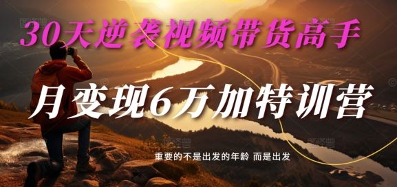 30天逆袭视频带货高手，单月变现6万加特训营-麦子甜 - 猎人社区-猎人社区