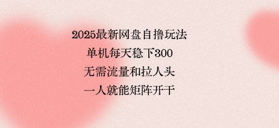 2025最新网盘自撸玩法，单机每天稳下3张，无需流量和拉人头，一个人就可轻松矩阵，全网独一份【揭秘】 - 猎人社区-猎人社区