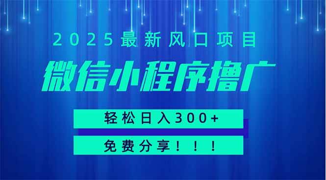 微信小程序撸广，最新风口项目，日入300+ 免费分享 可批量操作 小白可…-猎人社区