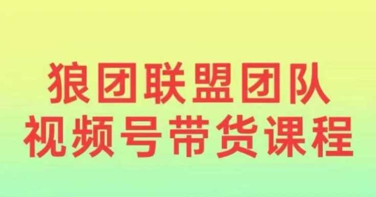 狼团联盟2024视频号带货，0基础小白快速入局视频号 - 猎人社区-猎人社区