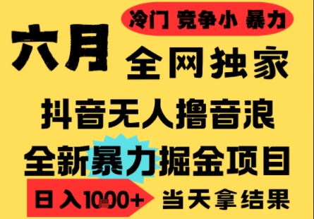 25年6月高爆抖音无人直播最新撸音浪掘金项目，小白可做，无脑日入1k+，门槛低可批量矩阵【揭秘】 - 猎人社区-猎人社区