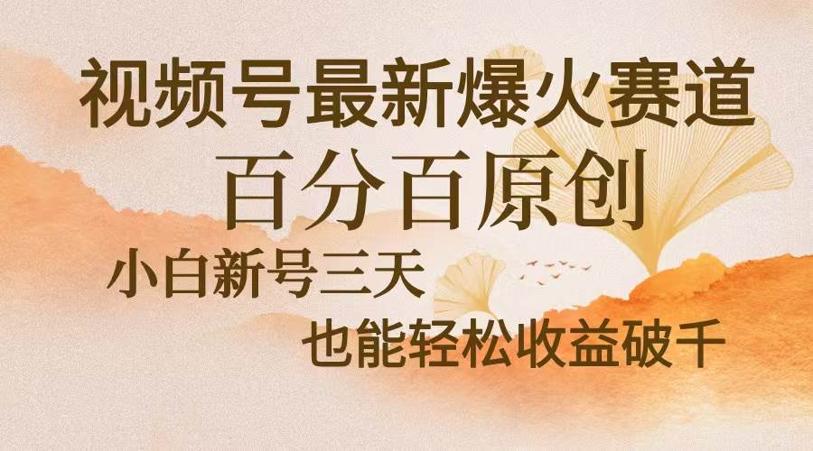 视频号最新爆火赛道，中老年粉深信不疑，百分百原创，新号三天收益轻松…-猎人社区