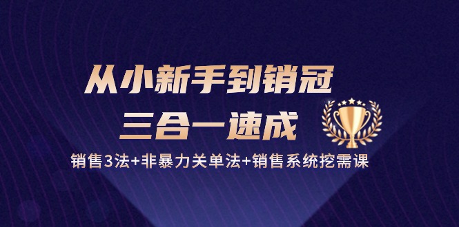 从小新手到销冠三合一速成：销售3法+非暴力关单法+销售系统挖需课 (27节) - 猎人社区-猎人社区