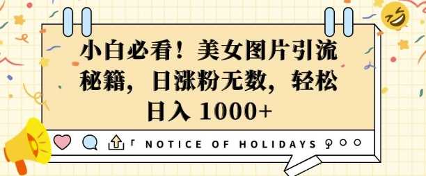 小白必看，美女图片引流秘籍，日涨粉无数，轻松日入几张【揭秘】 - 猎人社区-猎人社区