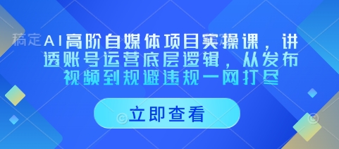 AI高阶自媒体项目实操课，讲透账号运营底层逻辑，从发布视频到规避违规一网打尽 - 猎人社区-猎人社区