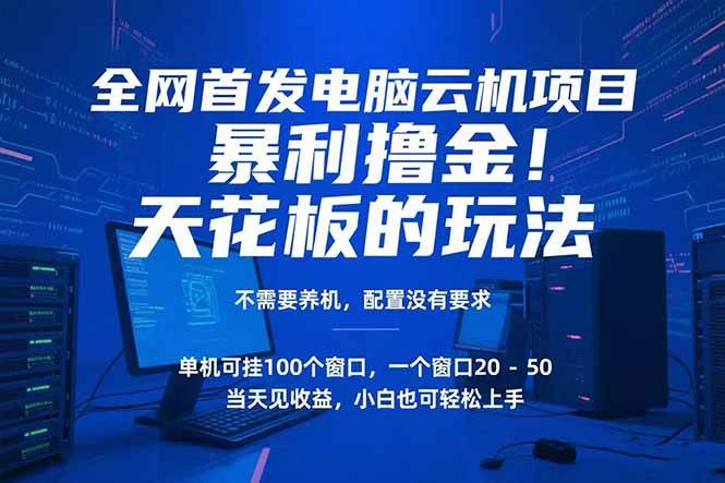 电脑云机项目 暴力撸金玩法，不需要养机 配置没有要求 单机100个窗口一… - 猎人社区-猎人社区