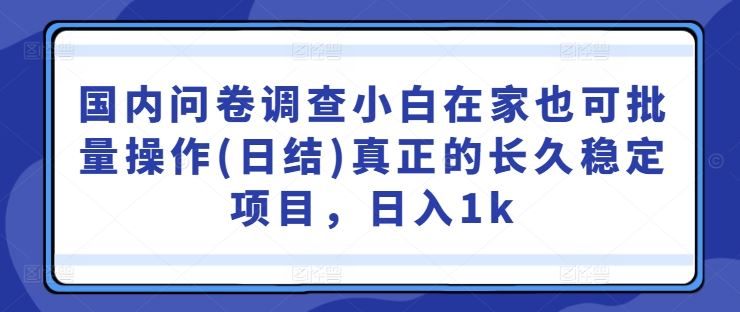 国内问卷调查小白在家也可批量操作(日结)真正的长久稳定项目，日入1k【揭秘】 - 猎人社区-猎人社区