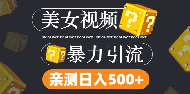 搬运tk美女视频全网分发，日引s粉300+，轻松变现，不限流量不封号【揭秘】 - 猎人社区-猎人社区