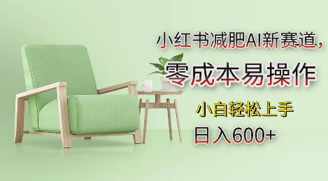 小红书减肥AI新赛道，零成本易操作，日入多张，小白轻松上手【揭秘】-猎人社区