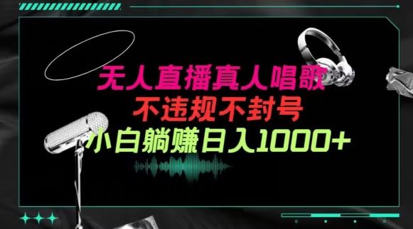 抖音24小时无人直播音乐，不违规，不封号纯撸音浪，小白实操当天日入1000+【揭秘】-猎人社区
