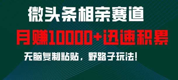 微头条相亲赛道，迅速积累，无脑复制粘贴，野路子玩法，月入1w - 猎人社区-猎人社区