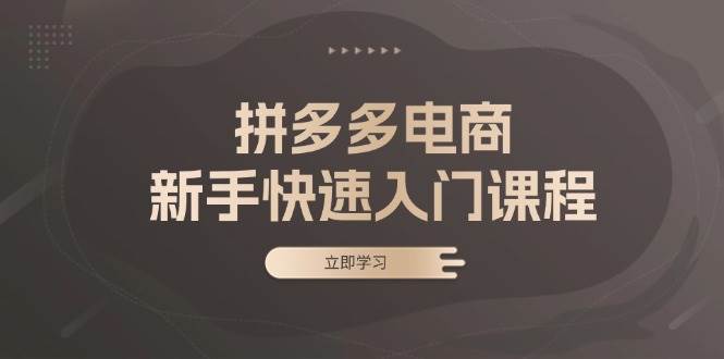 拼多多电商新手快速入门课程：涵盖基础、实战与选款，助力小白轻松上手-猎人社区