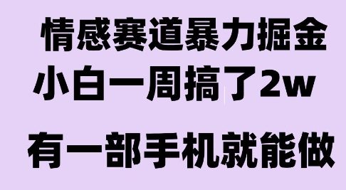 情感暴力掘金项目，新人操作一周挣了2W，长期稳定小白可做【揭秘】 - 猎人社区-猎人社区