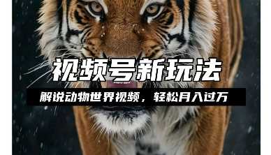 利用动物世界解说视频，赚分成计划收益，轻松月入过W，操作简单【揭秘】 - 猎人社区-猎人社区